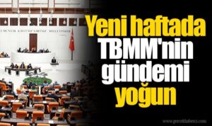 TBMM Bazı Kanunlarda Değişiklik Yapılmasına Dair Kanun Teklifi’nin görüşmelerine devam edecek…
