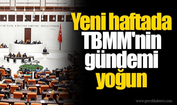 TBMM Bazı Kanunlarda Değişiklik Yapılmasına Dair Kanun Teklifi’nin görüşmelerine devam edecek…