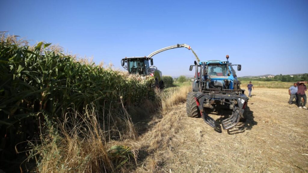 2026 üretim yılı Çiftçi Kayıt Sistemi (ÇKS) başvuruları yarın sona erecek