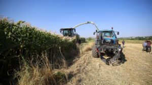 2026 üretim yılı Çiftçi Kayıt Sistemi (ÇKS) başvuruları yarın sona erecek