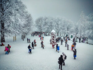 Kocaeli Kuzuyayla’da kar keyfi kış masalına dönüştü