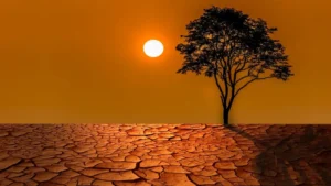 Dünya Meteoroloji Örgütü’nün (WMO) raporuna göre: Su Döngüsündeki Düzensizlik Toplumları Tehdit Ediyor