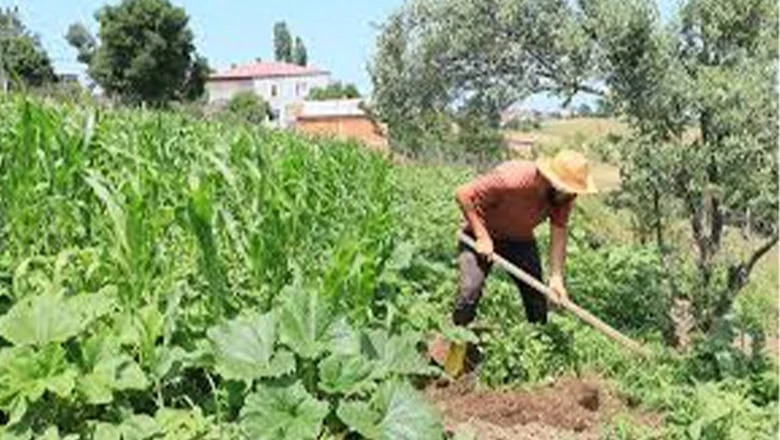 (TÜİK) verilerine göre, il ve ilçe merkezlerinde ikamet ederken belde ve köylerde yaşayanların oranı geriledi…