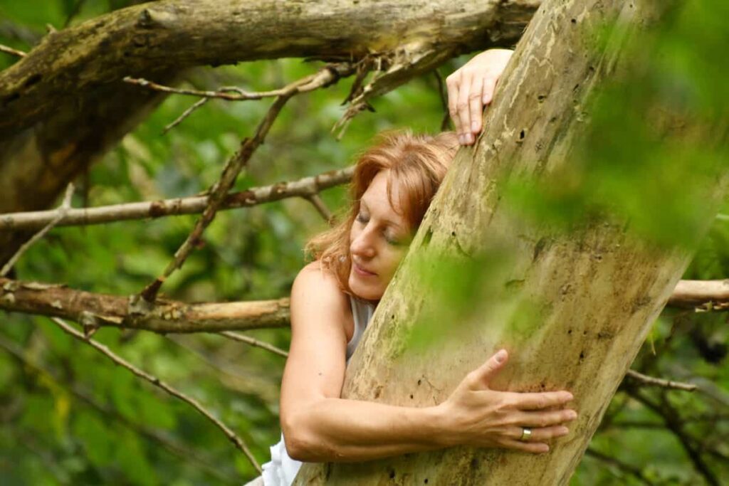 Bir Kıssa Bin Hisse : Ağaç ve İnsan