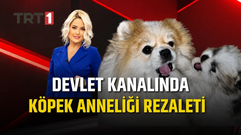 TRT spikerinden, anneler gününde köpeklere anne muamelesi yapan dayatmayı “ben de patili annesiyim” diyerek şirin gösterdi..