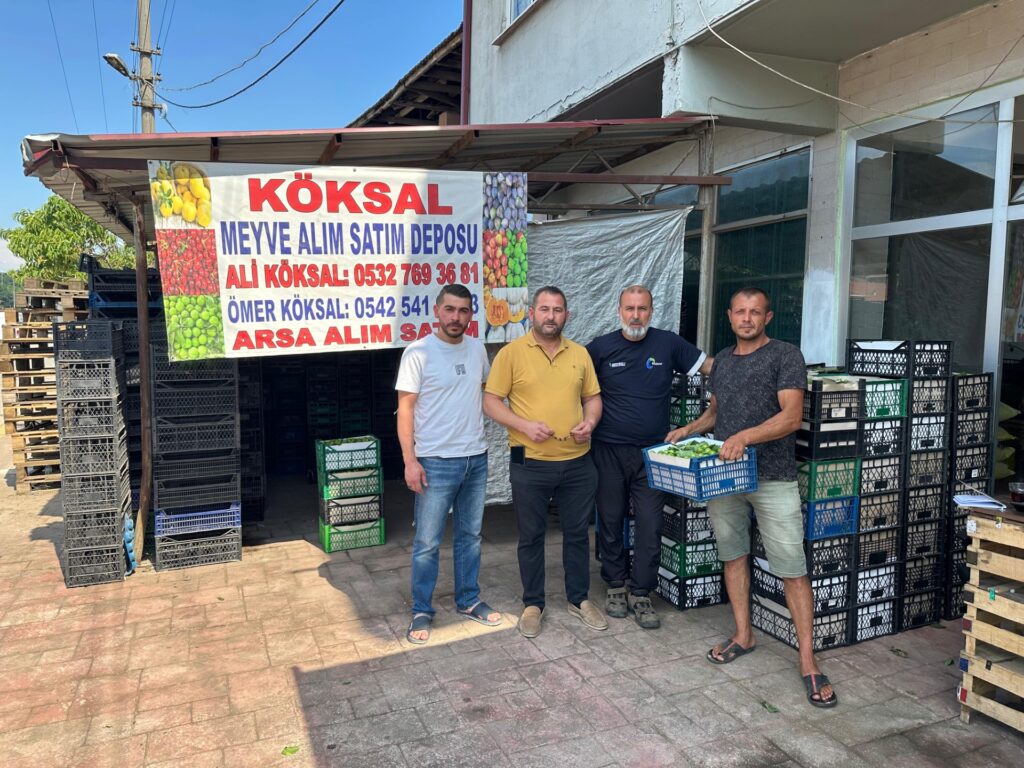 Kocaeli’nin Kartepe ilçesinde Eşme Eriğine Yoğun Talep! Üreticinin Yüzü Gülüyor